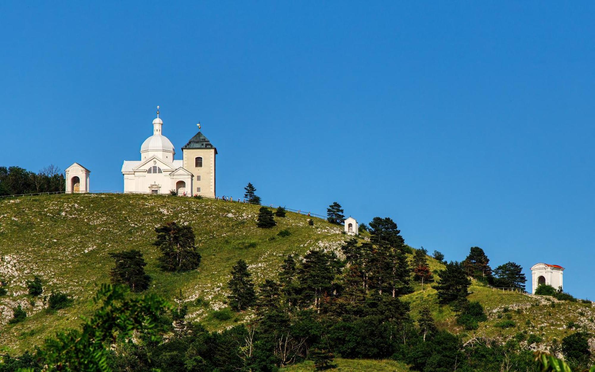 Penzion Terasa Cibulka Mikulov Exterior photo
